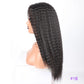 Long Puffy Kinky Curly Synthetic Wigs for Women Black Brown Blonde Synthetic Curly Hair Wigs 20 Inch Curly Synthetic Hair Wigs
