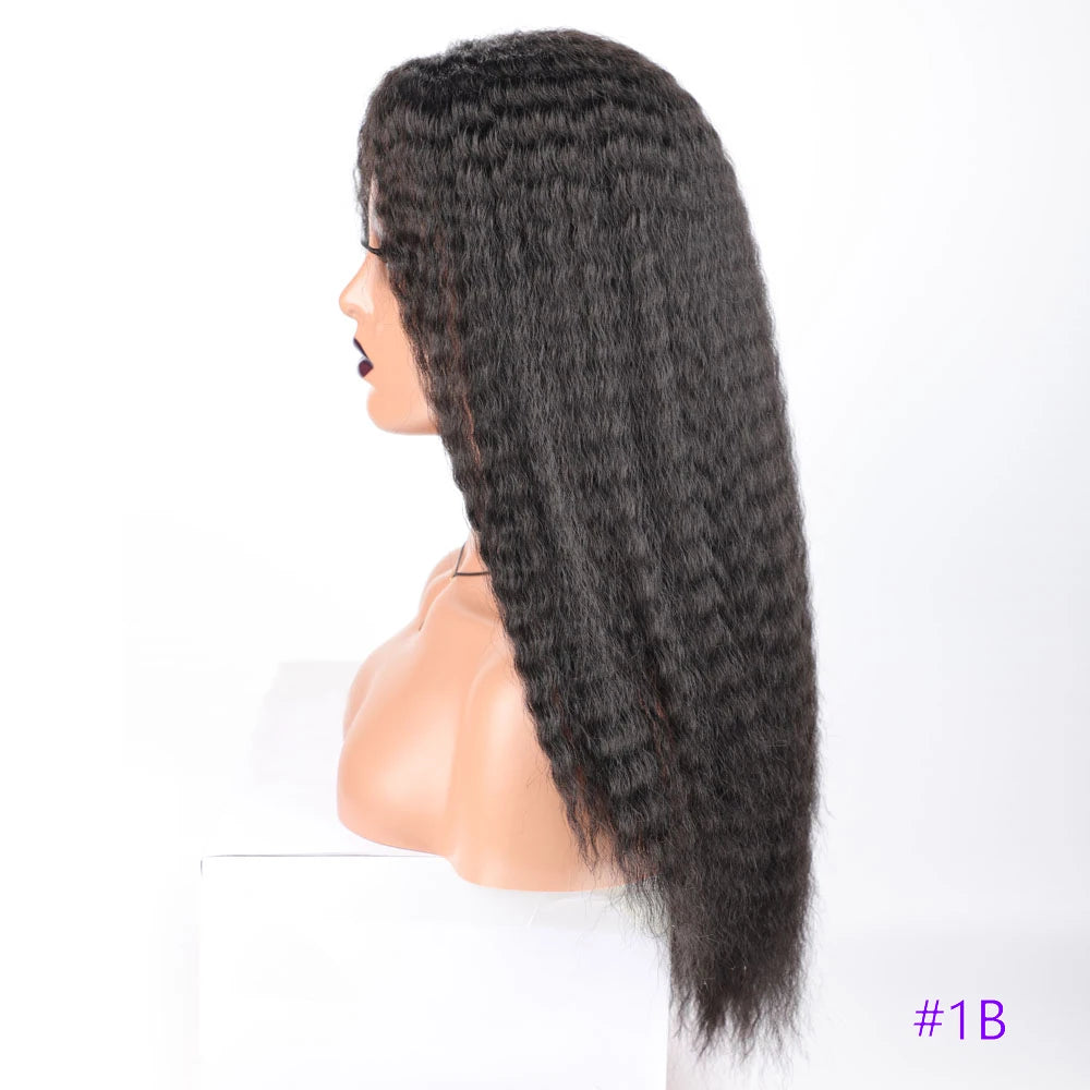 Long Puffy Kinky Curly Synthetic Wigs for Women Black Brown Blonde Synthetic Curly Hair Wigs 20 Inch Curly Synthetic Hair Wigs