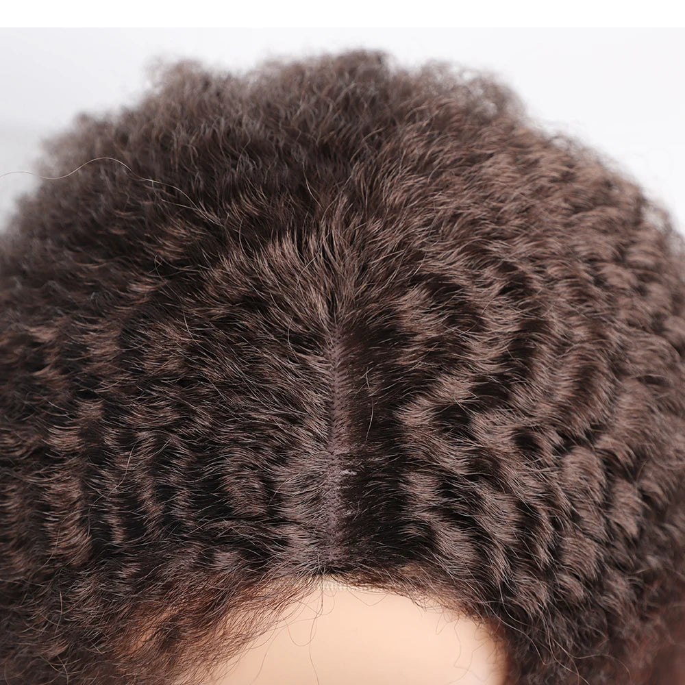 Long Puffy Kinky Curly Synthetic Wigs for Women Black Brown Blonde Synthetic Curly Hair Wigs 20 Inch Curly Synthetic Hair Wigs