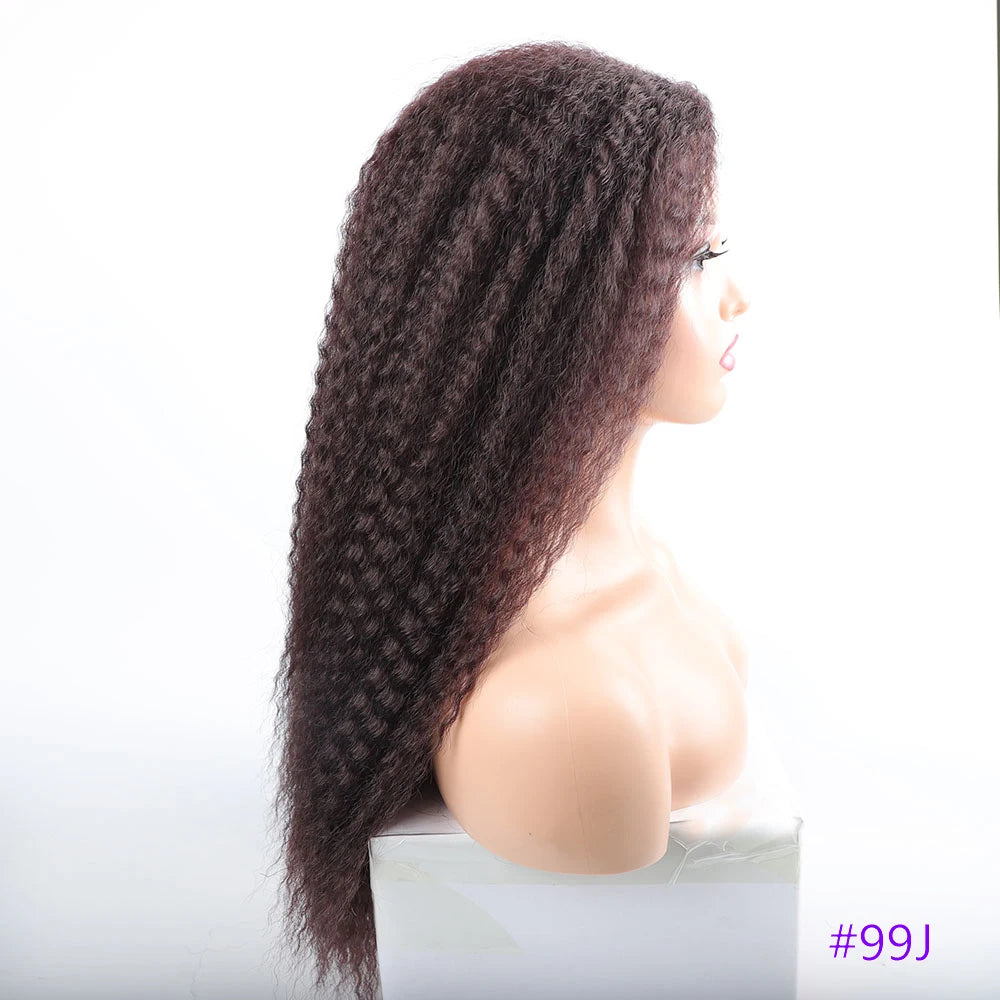 Long Puffy Kinky Curly Synthetic Wigs for Women Black Brown Blonde Synthetic Curly Hair Wigs 20 Inch Curly Synthetic Hair Wigs