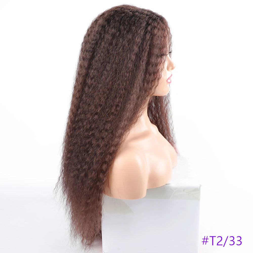 Long Puffy Kinky Curly Synthetic Wigs for Women Black Brown Blonde Synthetic Curly Hair Wigs 20 Inch Curly Synthetic Hair Wigs
