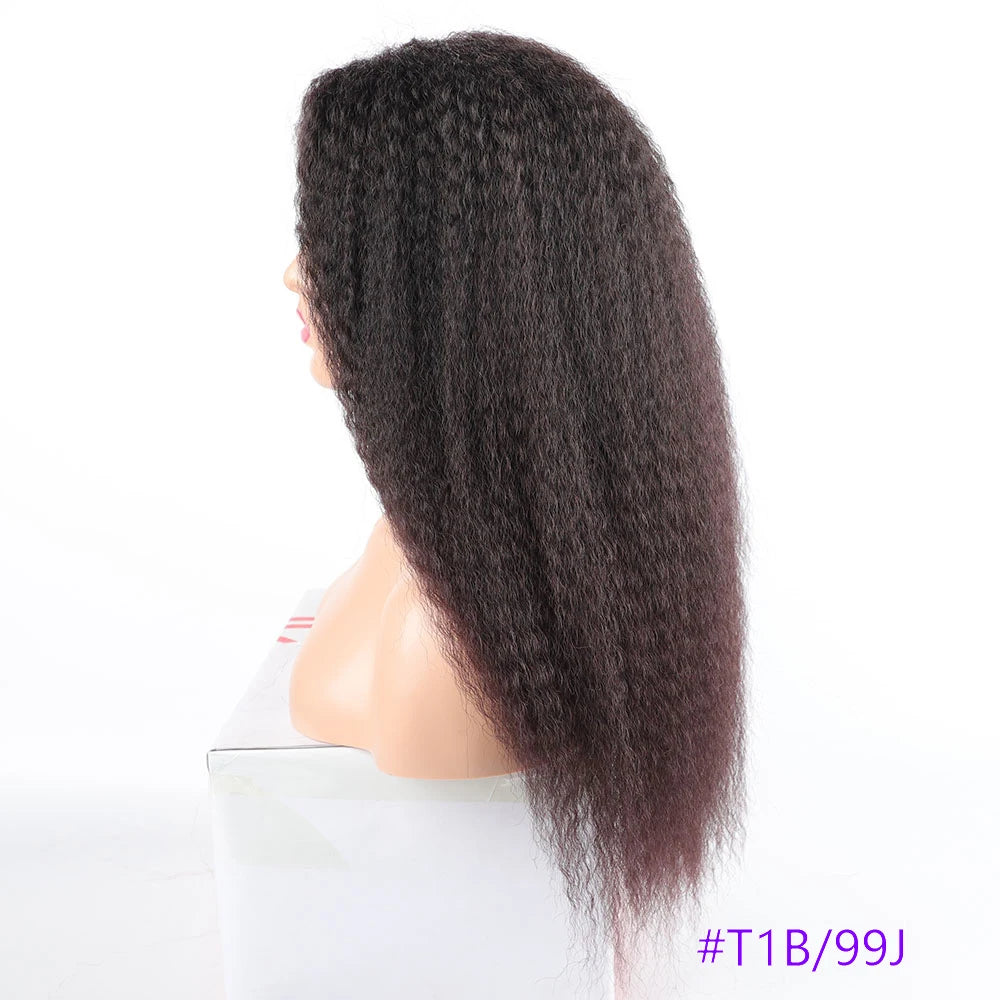 Long Puffy Kinky Curly Synthetic Wigs for Women Black Brown Blonde Synthetic Curly Hair Wigs 20 Inch Curly Synthetic Hair Wigs