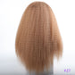 Long Puffy Kinky Curly Synthetic Wigs for Women Black Brown Blonde Synthetic Curly Hair Wigs 20 Inch Curly Synthetic Hair Wigs