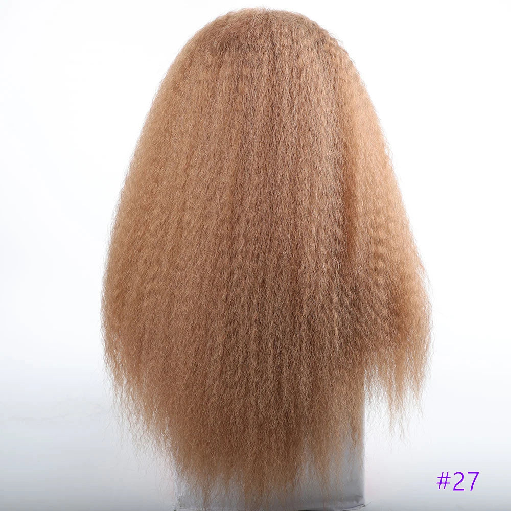 Long Puffy Kinky Curly Synthetic Wigs for Women Black Brown Blonde Synthetic Curly Hair Wigs 20 Inch Curly Synthetic Hair Wigs