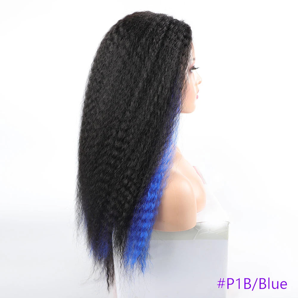 Long Puffy Kinky Curly Synthetic Wigs for Women Black Brown Blonde Synthetic Curly Hair Wigs 20 Inch Curly Synthetic Hair Wigs