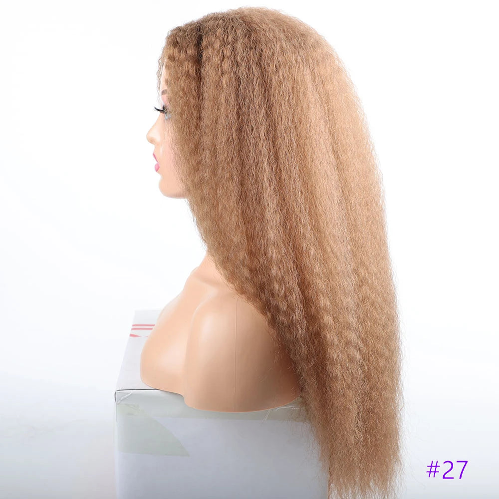 Long Puffy Kinky Curly Synthetic Wigs for Women Black Brown Blonde Synthetic Curly Hair Wigs 20 Inch Curly Synthetic Hair Wigs
