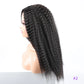 Long Puffy Kinky Curly Synthetic Wigs for Women Black Brown Blonde Synthetic Curly Hair Wigs 20 Inch Curly Synthetic Hair Wigs