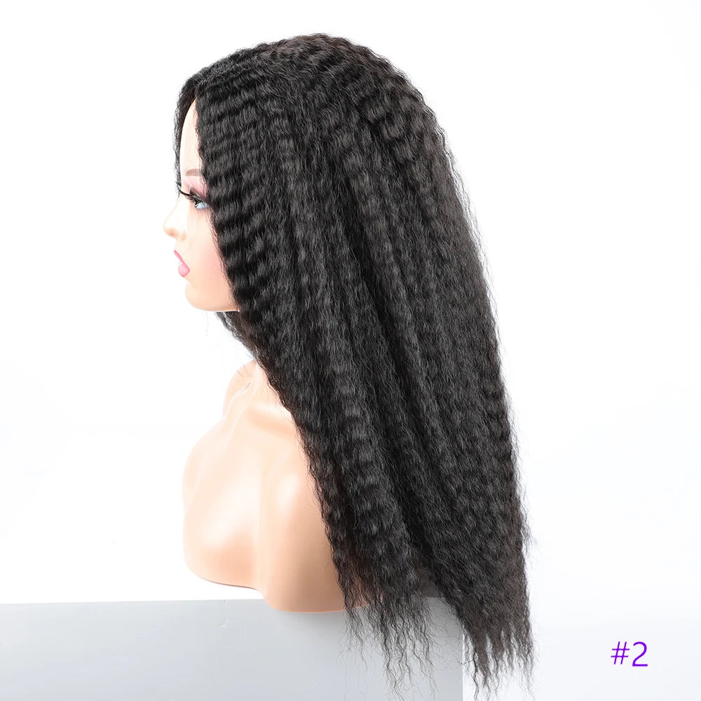 Long Puffy Kinky Curly Synthetic Wigs for Women Black Brown Blonde Synthetic Curly Hair Wigs 20 Inch Curly Synthetic Hair Wigs