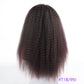 Long Puffy Kinky Curly Synthetic Wigs for Women Black Brown Blonde Synthetic Curly Hair Wigs 20 Inch Curly Synthetic Hair Wigs