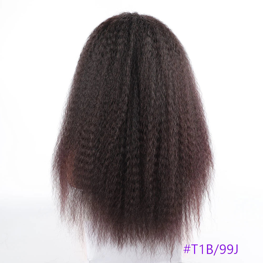 Long Puffy Kinky Curly Synthetic Wigs for Women Black Brown Blonde Synthetic Curly Hair Wigs 20 Inch Curly Synthetic Hair Wigs