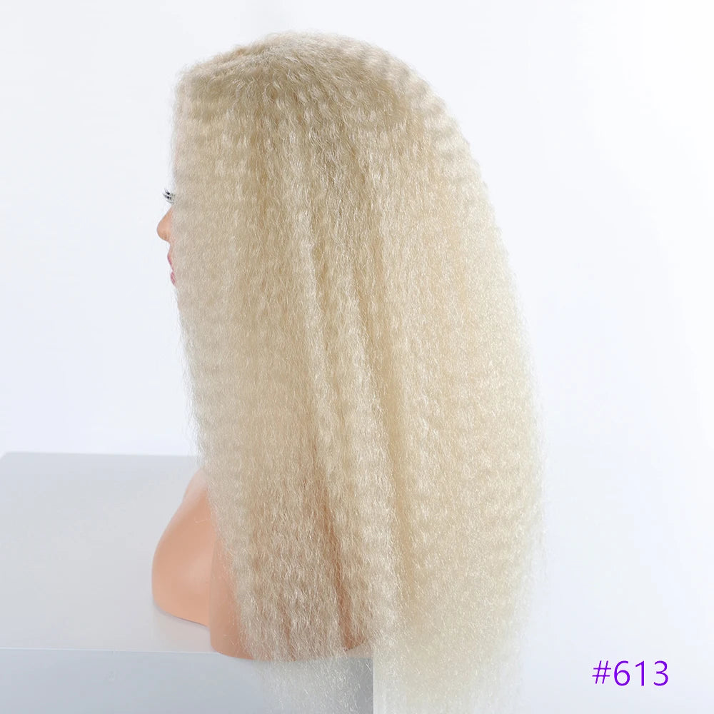 Long Puffy Kinky Curly Synthetic Wigs for Women Black Brown Blonde Synthetic Curly Hair Wigs 20 Inch Curly Synthetic Hair Wigs