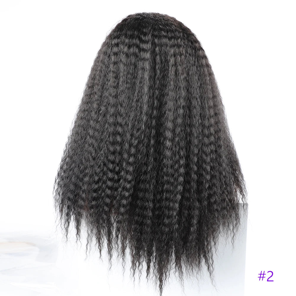 Long Puffy Kinky Curly Synthetic Wigs for Women Black Brown Blonde Synthetic Curly Hair Wigs 20 Inch Curly Synthetic Hair Wigs