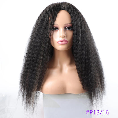 Long Puffy Kinky Curly Synthetic Wigs for Women Black Brown Blonde Synthetic Curly Hair Wigs 20 Inch Curly Synthetic Hair Wigs