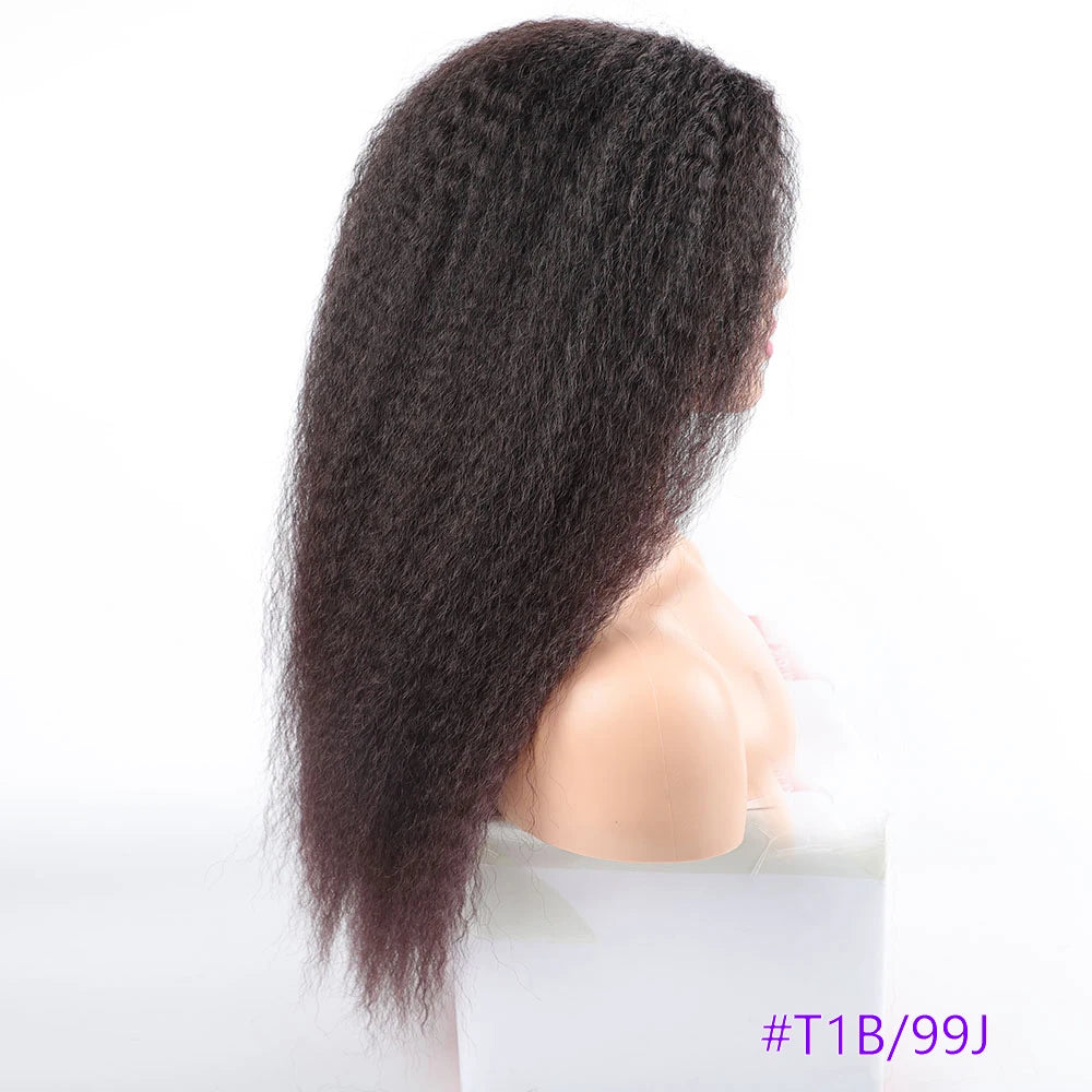 Long Puffy Kinky Curly Synthetic Wigs for Women Black Brown Blonde Synthetic Curly Hair Wigs 20 Inch Curly Synthetic Hair Wigs