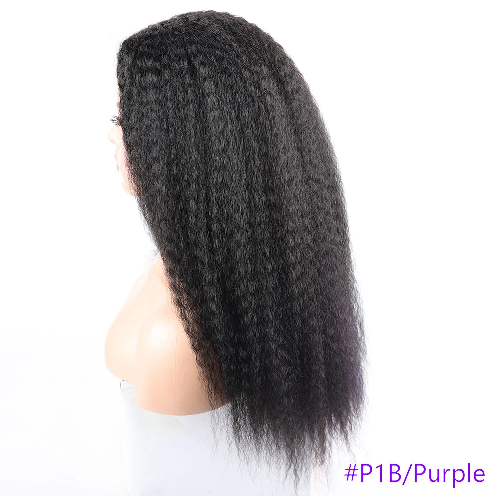 Long Puffy Kinky Curly Synthetic Wigs for Women Black Brown Blonde Synthetic Curly Hair Wigs 20 Inch Curly Synthetic Hair Wigs
