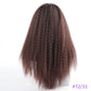 Long Puffy Kinky Curly Synthetic Wigs for Women Black Brown Blonde Synthetic Curly Hair Wigs 20 Inch Curly Synthetic Hair Wigs