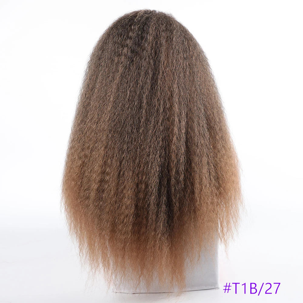 Long Puffy Kinky Curly Synthetic Wigs for Women Black Brown Blonde Synthetic Curly Hair Wigs 20 Inch Curly Synthetic Hair Wigs
